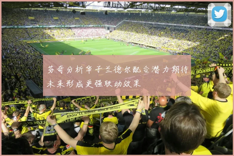 芬奇分析华子兰德尔配合潜力期待未来形成更强联动效果