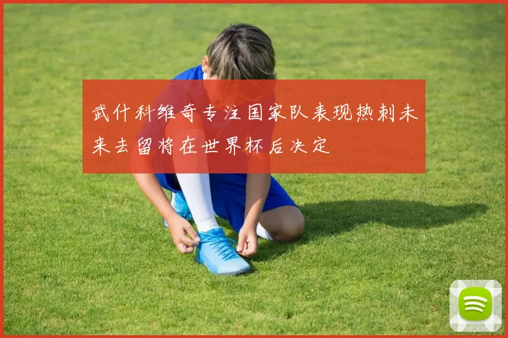 武什科维奇专注国家队表现热刺未来去留将在世界杯后决定
