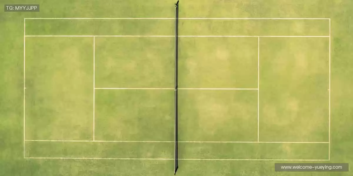 运动潮品,让个性与活力碰撞👟💥